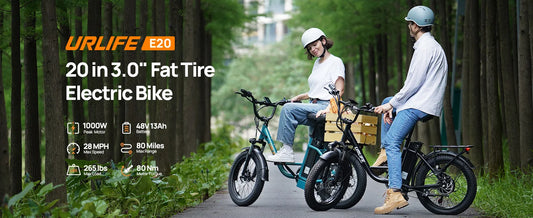 Fat Tire, 7-Speed E-Bike with Dual Disc Brake