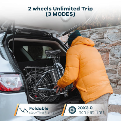 20" foldable ,electric bicycle for adults,